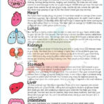 Pin On TEAS Science Prep Tips For Anatomy And Physiology