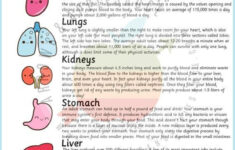 Pin On TEAS Science Prep Tips For Anatomy And Physiology