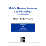 PowerPoint To Accompany Hole S Human Anatomy And Physiology