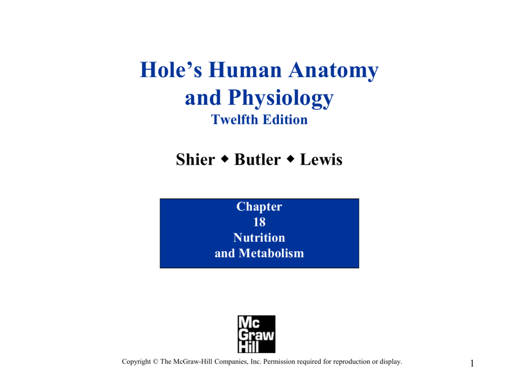 PowerPoint To Accompany Hole s Human Anatomy And Physiology