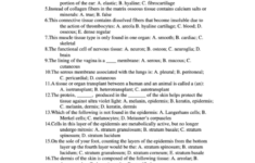Practice Quiz Human Anatomy And Physiology Printable Pdf Download