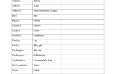 Prefixes Suffixes And Roots Word Roots Anatomy Word Root