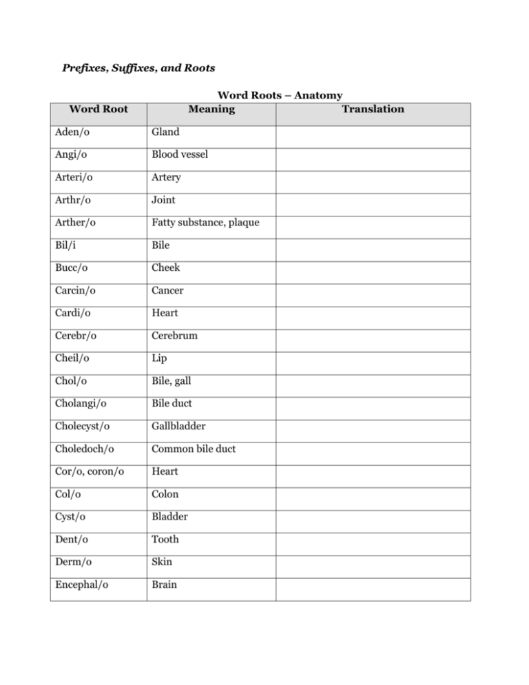 prefixes-suffixes-and-roots-word-roots-anatomy-word-root-anatomy