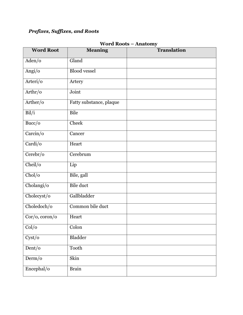 Prefixes Suffixes And Roots Word Roots Anatomy Word Root