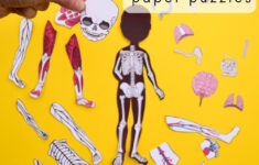 Printable Anatomy Puzzles For Kids Adventure In A Box