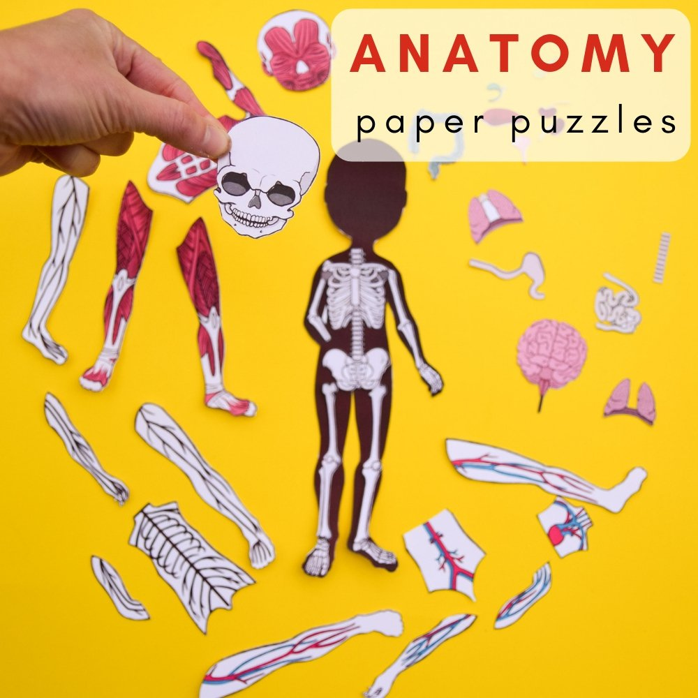 Printable Anatomy Puzzles For Kids Adventure In A Box