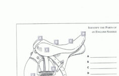 Printable Horse Anatomy Worksheets In 2020 Horse Anatomy Horse Camp
