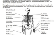 Printable Page Nonfiction Passages Teaching Science Homeschool Science