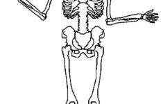 Printable Skeleton Coloring Pages For Kids