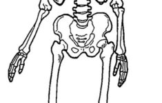 Printable Skeleton Coloring Pages For Kids