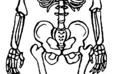 Printable Skeleton Coloring Pages For Kids