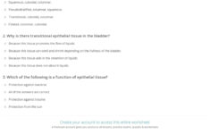 Quiz Worksheet Epithelial Tissue Study