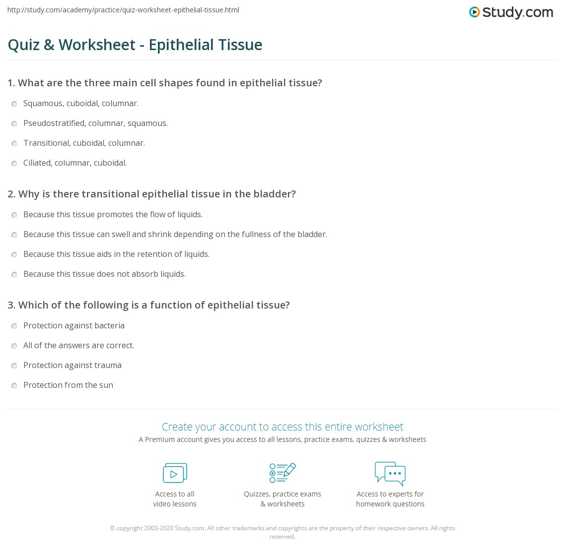 Quiz Worksheet Epithelial Tissue Study