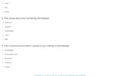 Quiz Worksheet Gross Anatomy Of The Urinary System Study