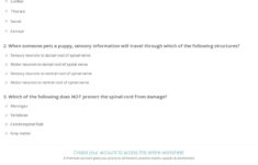 Quiz Worksheet Spinal Cord Anatomy Study