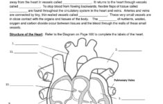 Readable The Human Heart Anatomy And Circulation Worksheet Answers