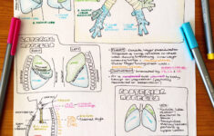 Sarah Clifford SCillustrations Twitter Nursing School Notes