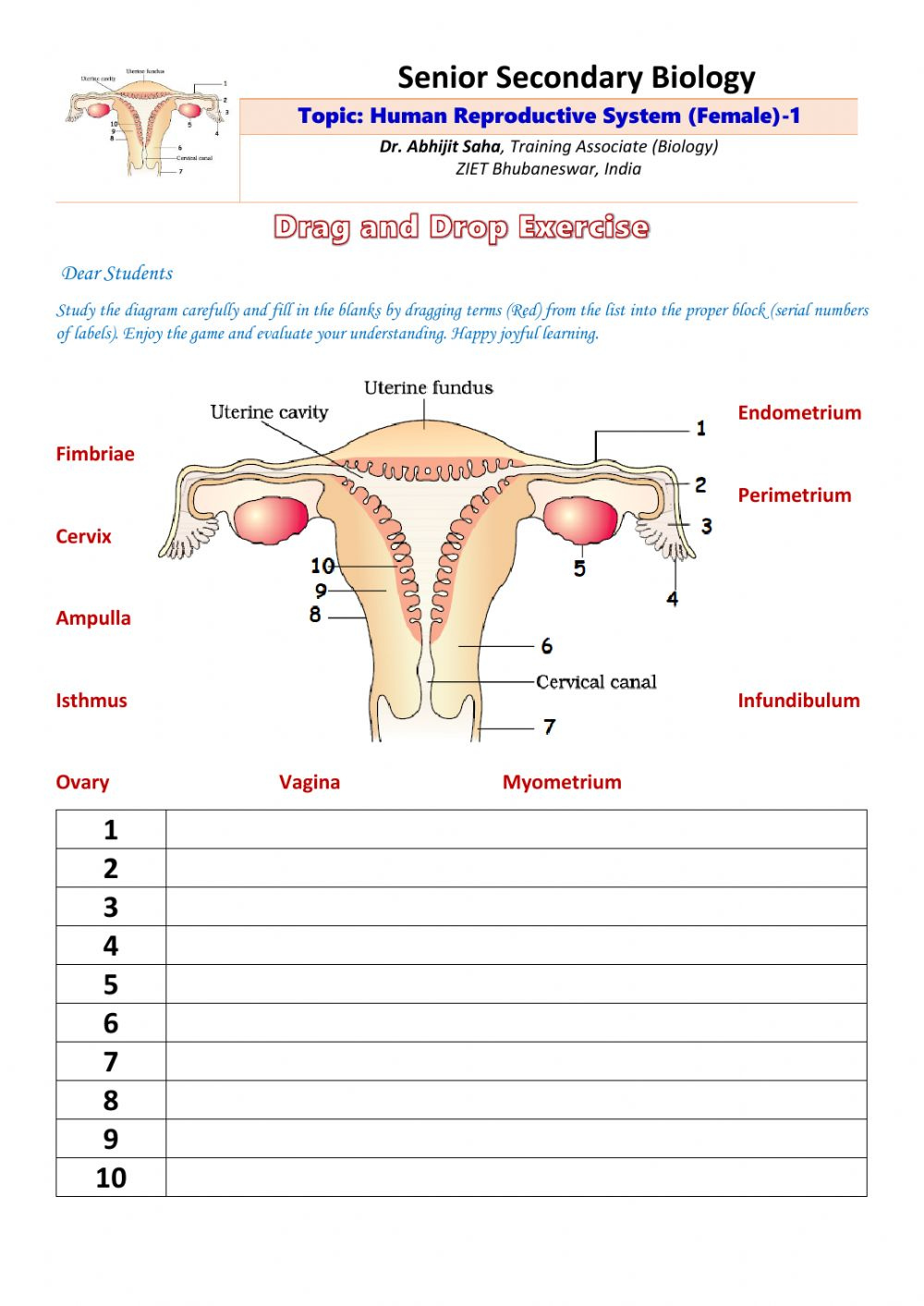 Anatomy Of The Female Reproductive System Worksheet Answers Anatomy Worksheets