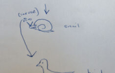 Site With Vocab Sheets Quizzes And Tests Coordinating W Apologia