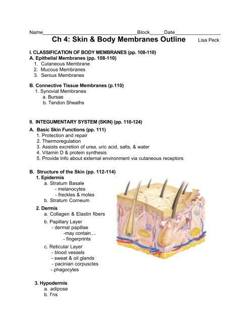 Skin And Body Membranes Chapter 4 Worksheet Answers
