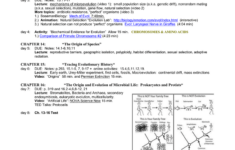 Taxonomy Worksheet Chapter 15 Answers Nidecmege