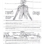 Teach Child How To Read Skeletal System Grade 5 Science Worksheets