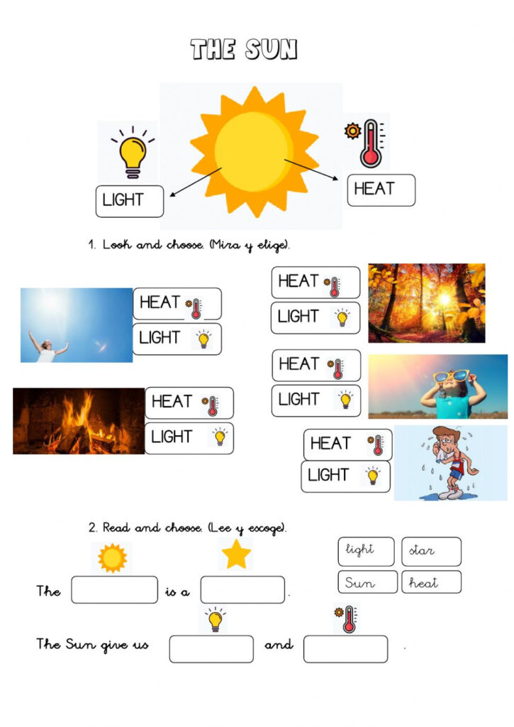 the-sun-worksheet-anatomy-worksheets