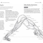 The Yoga Anatomy Coloring Book A Visual Guide To Form Function And