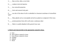 Tissue Matching Worksheet Belle Vernon Area School District