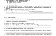 Tissue Worksheet