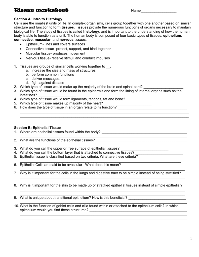 Tissue Worksheet