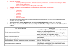 Tissue Worksheet Anatomy Answer Key Anatomy Drawing Diagram