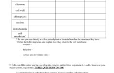 Tissue Worksheet Anatomy Answers Db excel