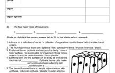 Tissue Worksheet Answer Key Db excel