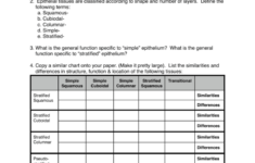 Tissue Worksheet Answer Key Db excel