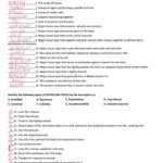Tissue Worksheet Section A Intro To Histology Answers Previous To