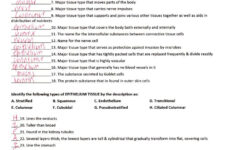 Tissue Worksheet Section A Intro To Histology Answers Previous To
