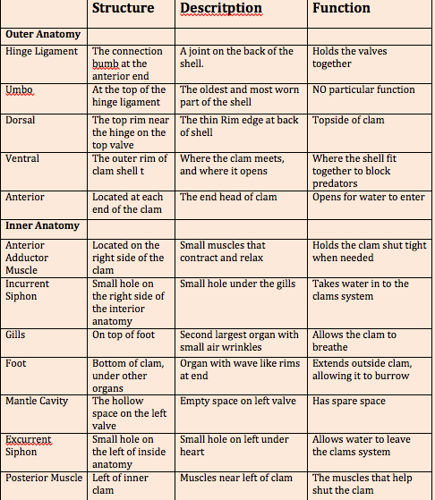 Tissues Worksheets Answers