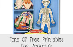 Tons Of Free Printables For Apologia s Elementary Anatomy Book