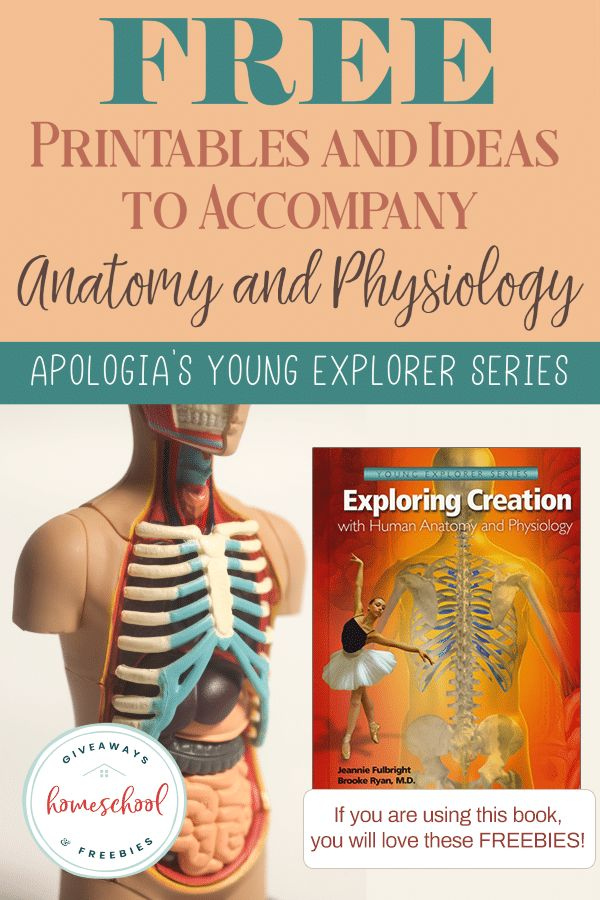 Tons Of FREE Printables For Apologia s Elementary Anatomy Book 