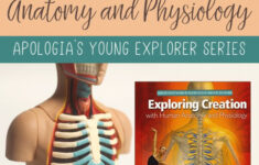 Tons Of FREE Printables For Apologia s Elementary Anatomy Book