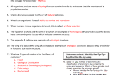 Types Of Evolution Worksheet Nidecmege