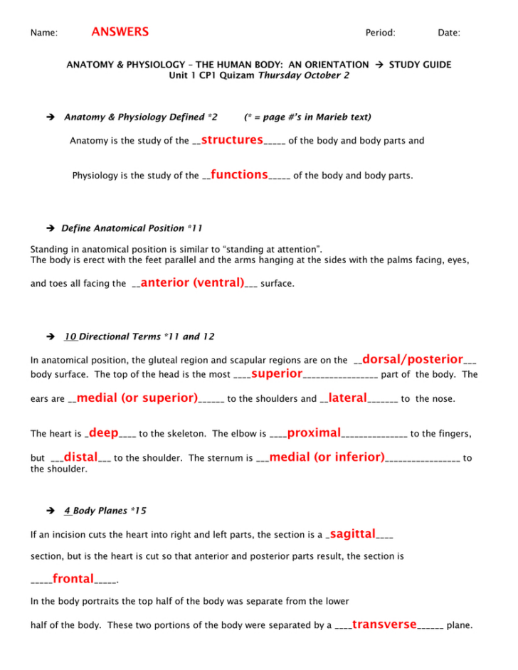 Student Worksheet For Chapter 3 Introduction To Anatomy Answer Key