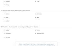 Urinary System Activity Worksheet Db excel