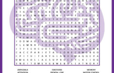 Use This Puzzle Worksheet To Introduce A Unit On The Human Brain Or As