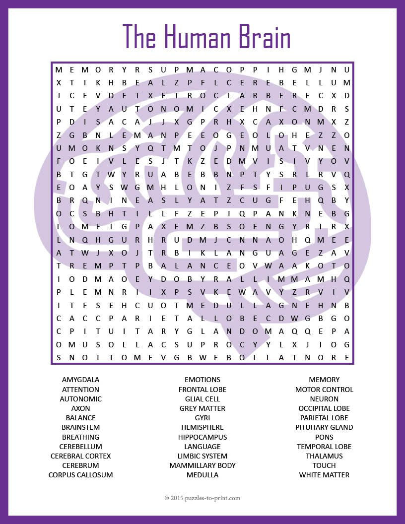 Use This Puzzle Worksheet To Introduce A Unit On The Human Brain Or As 