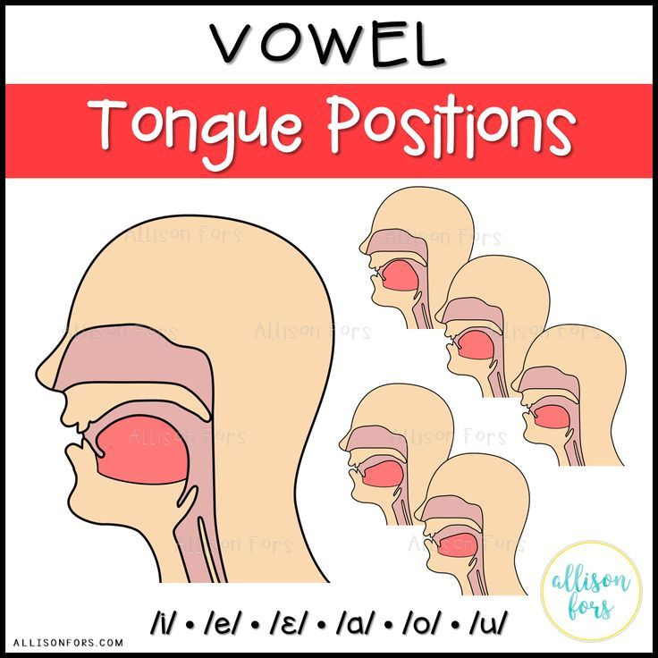 Vowel Tongue Positions Clip Art Speech Therapy Speech And Language 