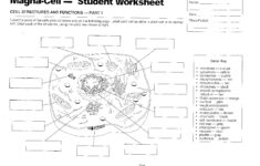 Worksheet Cell Parts Worksheet Worksheet Fun Worksheet Study Site