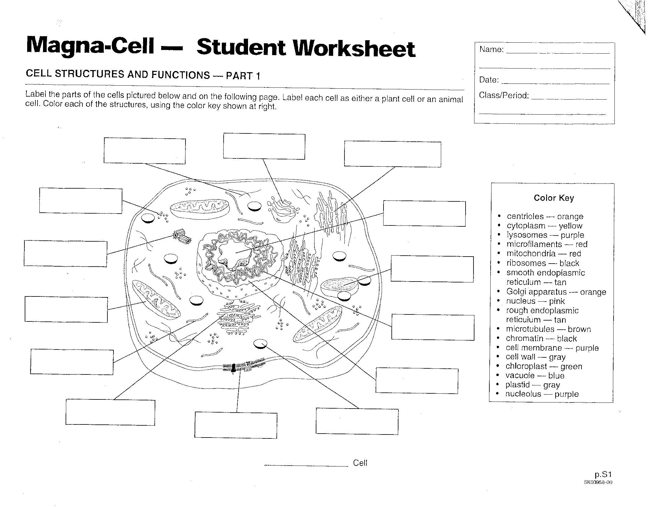 Worksheet Cell Parts Worksheet Worksheet Fun Worksheet Study Site