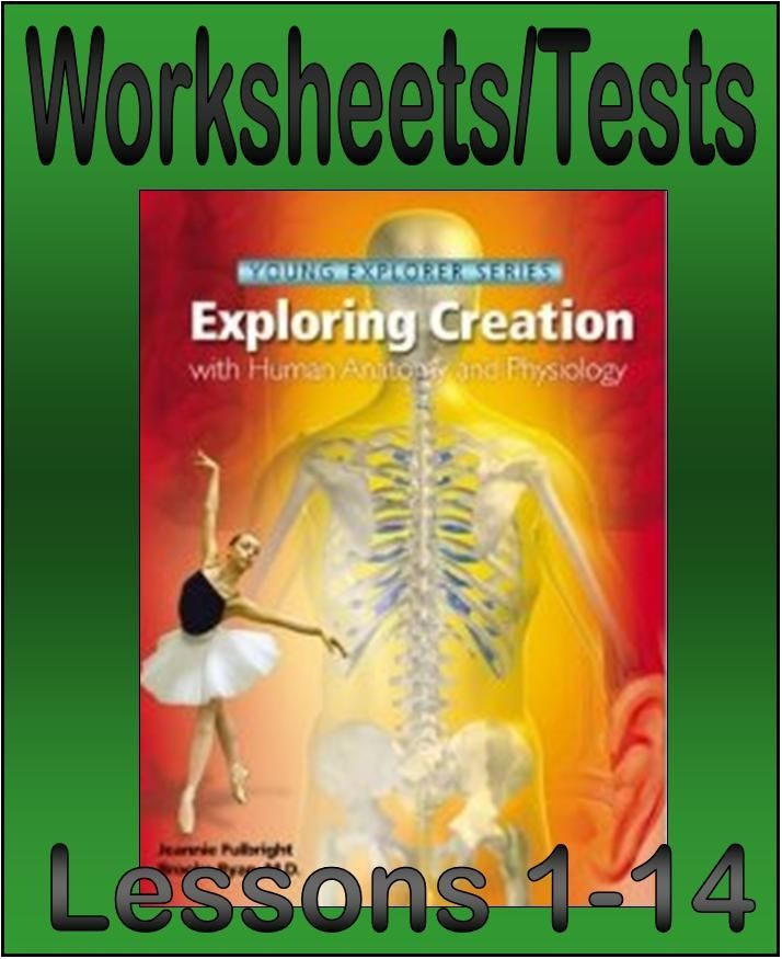 Worksheets Tests For Apologia s Exploring Creation With Anatomy And 